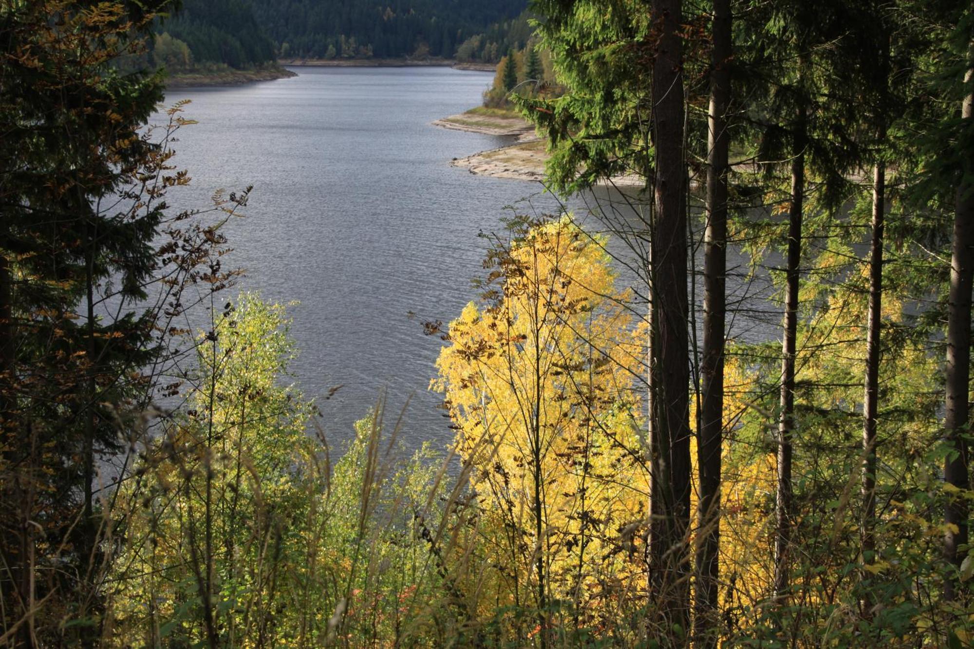 Das Jagdhaus Waldidyll Erzgebirge Hartenstein  ภายนอก รูปภาพ
